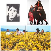 1980 Wings JAPAN TOUR 1980  - PAUL MCCARTNEY AND WINGS TOUR CONCERT PROGRAMME - pic 5
