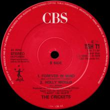 1988 01 00 THE CRICKETS - T-SHIRT - CBS - TSH T1 - 5 099765 299465 - UK - 45 12" - pic 6