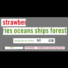 1993 11 15 - THE FIREMAN - STRAWBERRIES OCEANS SHIP FOREST - FIRE 1 - PCSD 145 A⁄B⁄C⁄D - 12INCH PROMO - pic 8