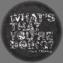 2005 06 14 - TWIN FREAKS - GRAZE 011 - 58484 ⁄ A - 58484 ⁄ B - RINSE THE RAINDROPS ⁄ WHAT'S THAT YOU'RE DOING - 12INCH PROMO - pic 1