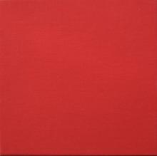 2009 01 31 THE FIREMAN - ELECTRIC ARGUMENTS - THE DELUXE EDITION -A- TPLP1003DE ⁄ 501 6958 104054 -TPLP 1003 - 5 016958 104016 - pic 6