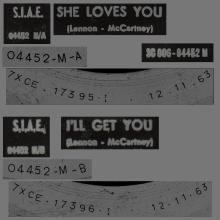 THE GREATEST STORY - SHE LOVES YOU ⁄ I'LL GET YOU - 3C 006-04452 - BLACK LABEL - A - pic 1