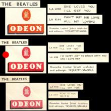 TURKEY - 1 - SLEEVE VARIATION - PICTURE SLEEVE - B - pic 1