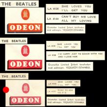 TURKEY - 1 - SLEEVE VARIATION - PICTURE SLEEVE - C - pic 1