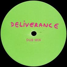 1999 00 00 - DELIVERANCE ⁄ DELIVERANCE DUB MIX - 12 DELIVDJ - 12INCH PROMO - pic 1