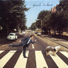 pm 28 Paul Is Live / Holland - pic 1
