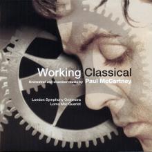 pm 35 a Working Classical / EU - pic 1