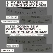 1989 05 08 PAUL McCARTNEY MY BRAVE FACE - 12R 6213 - 5 099920 335861 - 4 TRACKS 12 INCH - UK - pic 1