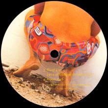1999 00 00 THE FIREMAN - FLUID NITIN SAWHNEY REMIXES - HYDRA 12008 - 7 24388 75736 2 - UK - pic 10